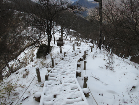 20160218hike (289)